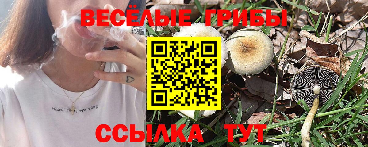Галлюциногенные грибы Cubensis Звенигород